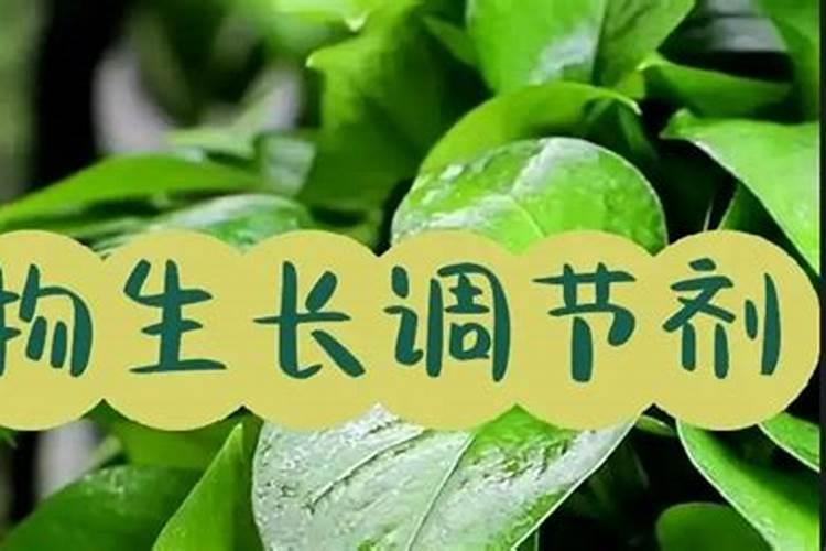 植物生长调节剂是什么？对人体是否有害