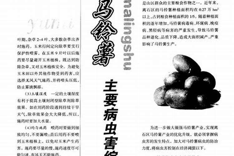 山药的守护战：主要病害及其防治策略