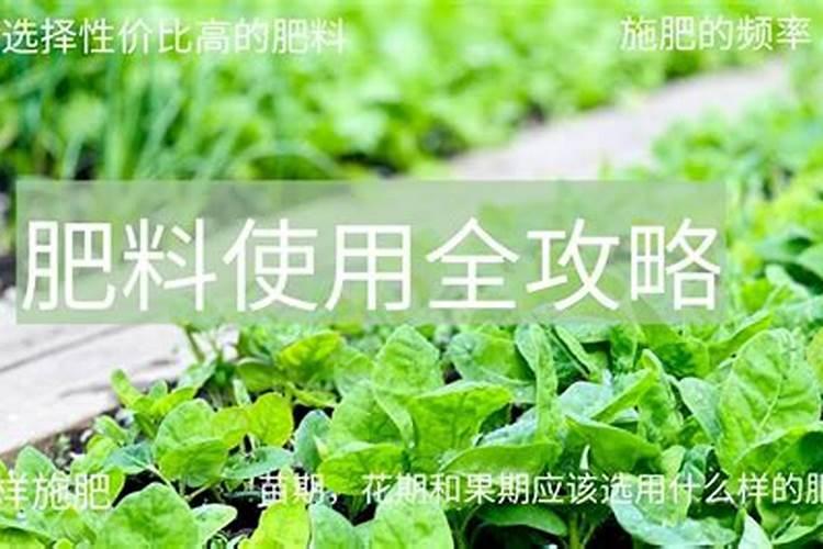 智慧农耕：如何选用合格肥料？