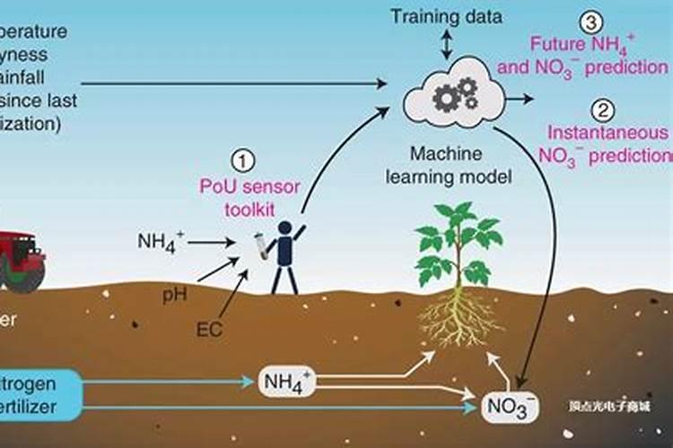 土壤的饕餮盛宴：精准计算施肥量的科学之道