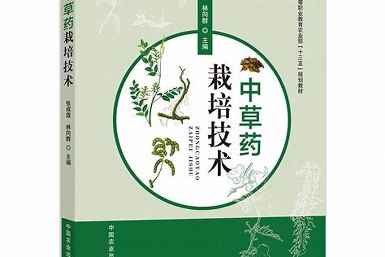 中草药栽培技术专业：开启绿色职业之门