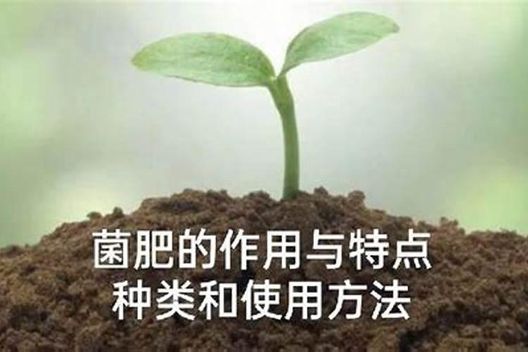 微生物菌肥作用和使用方法