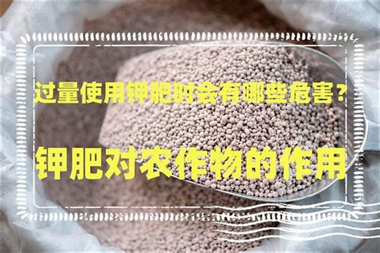 种植农作物时,有机肥施肥过量会带来哪些害处？