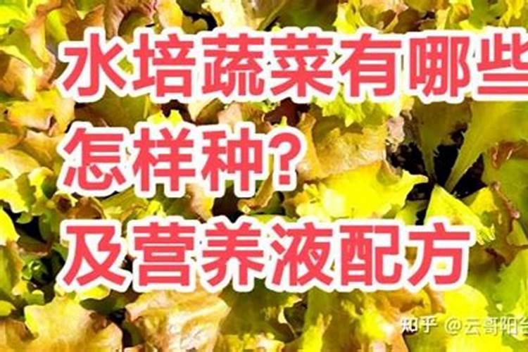 怎样配制营养液？