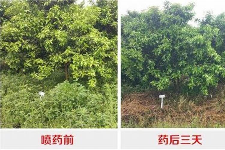 草甘膦加什么除草效果最好