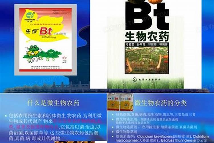 掌握微生物农药正确使用方法，守护绿色农业未来？