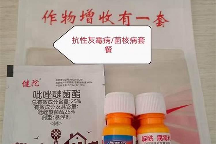 灰霉病防治全攻略：特效药物与综合管理策略