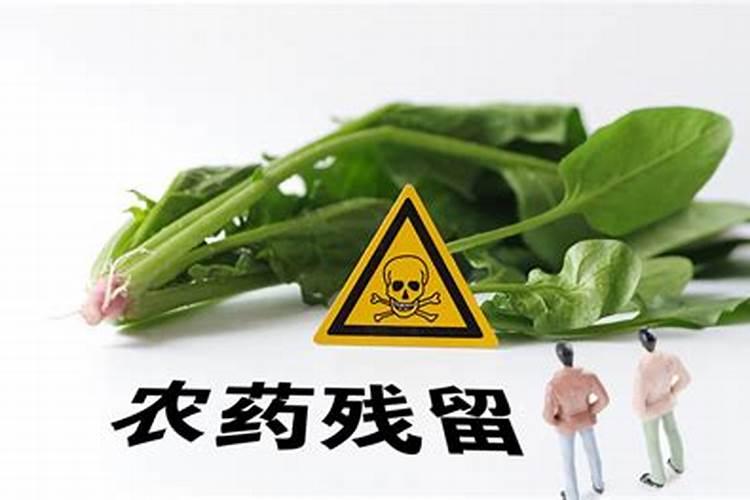 食物中常见的农药残留有哪些