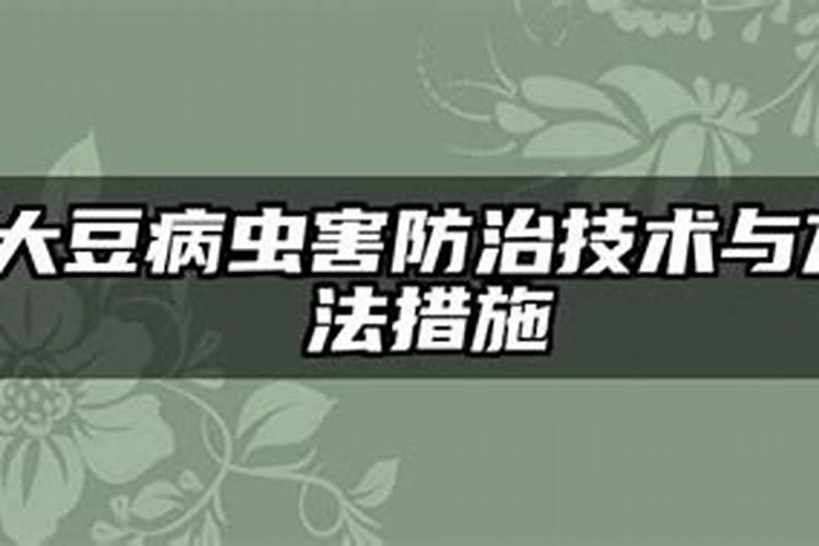 大豆守护神：病虫害药剂防治技术详解