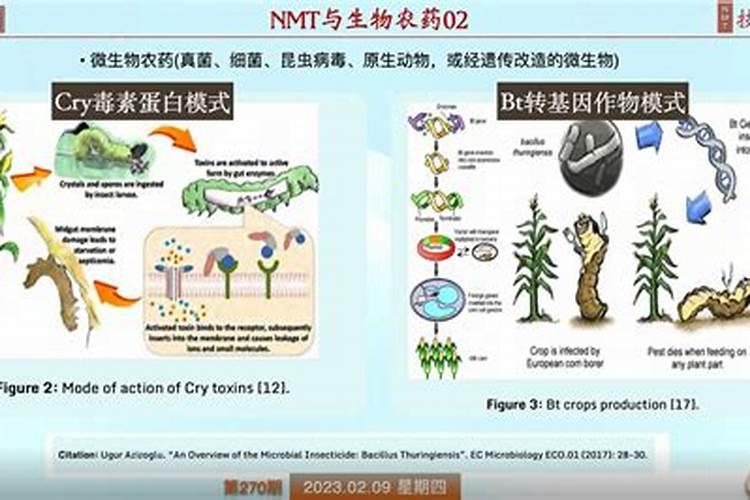 绿色守卫：探索生物农药的益处与使用智慧