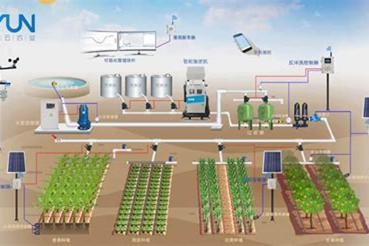 精准农业的利器：掌握控释配方肥施肥技术要点