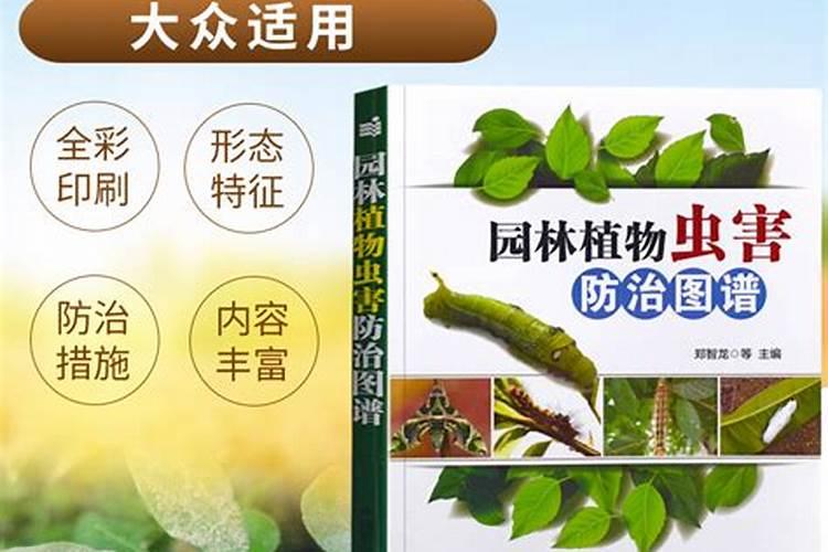 守护绿意：防治病虫害的用药智慧