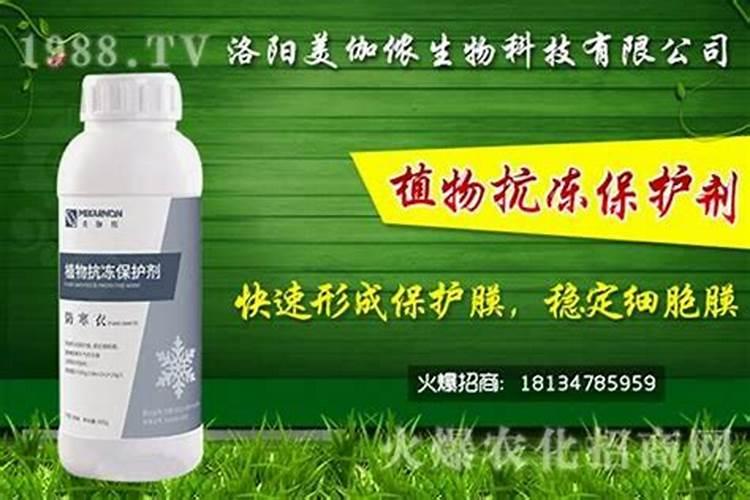 为什么植物防冻剂的作用不大？怎么有效使用植物防冻剂？