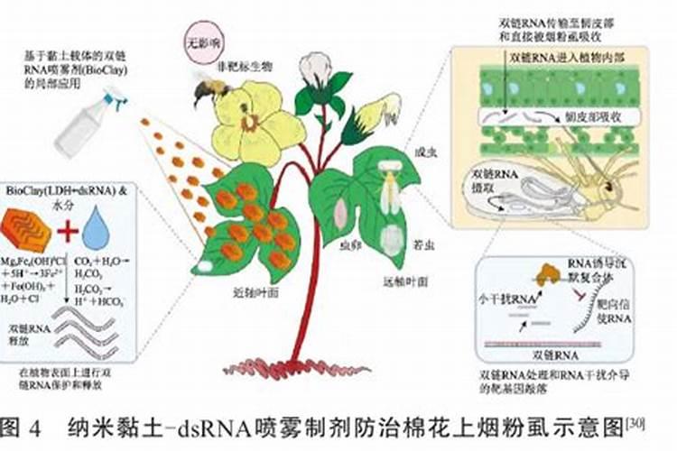 纳米农药的应用