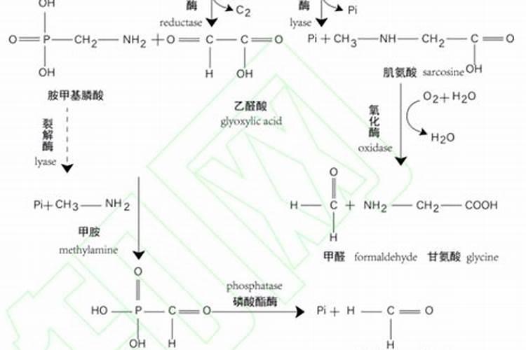 草甘膦在大豆菟丝子防治中的巧妙应用