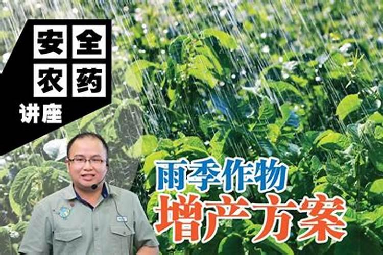 夏日雨季农药施用指南：确保作物安全与环境和谐