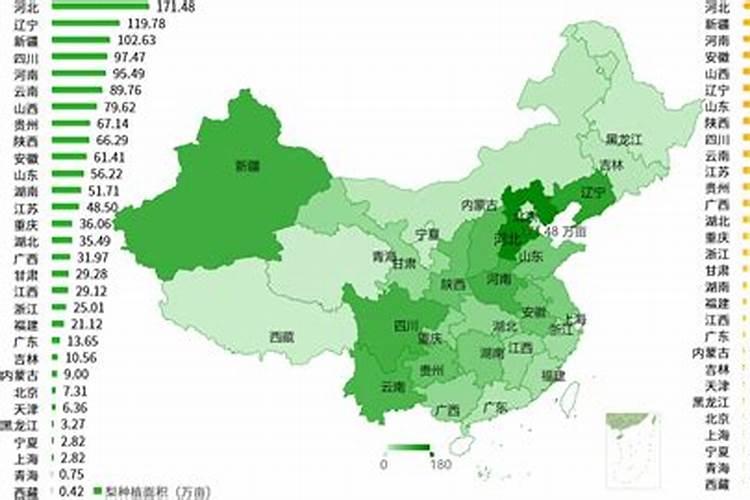 木瓜在中国：揭秘全国种植面积与产量的绿色密码