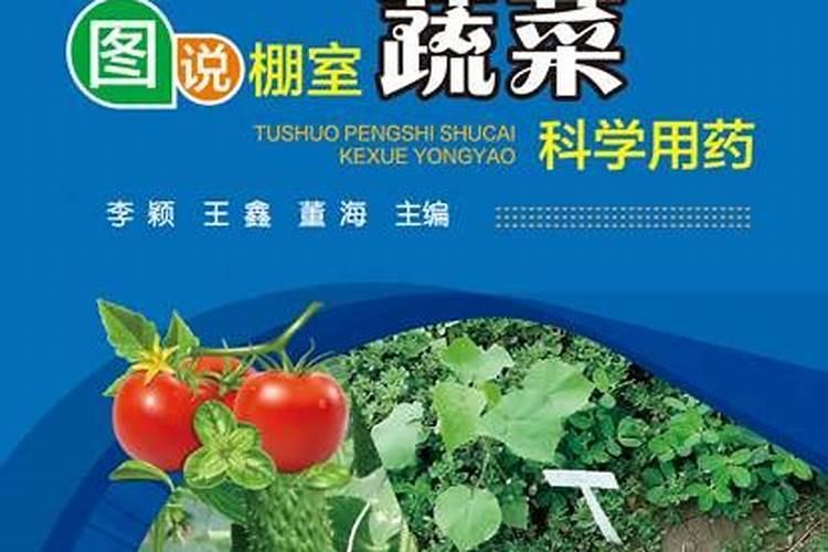 守护绿色餐桌：棚室蔬菜用药的科学与艺术