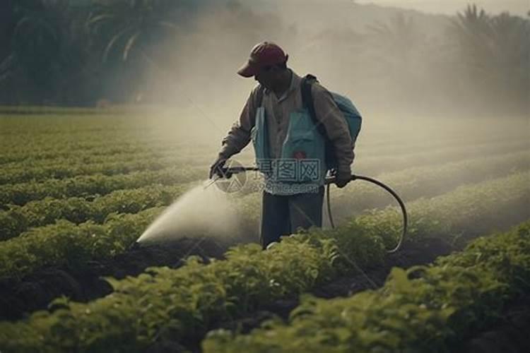 果林守护者：掌握农药喷洒的关键技术与药害补救的智慧