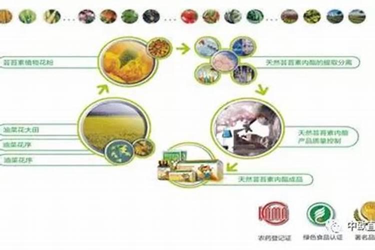 绿色守护：解药害的芸苔素与碧护科技之战