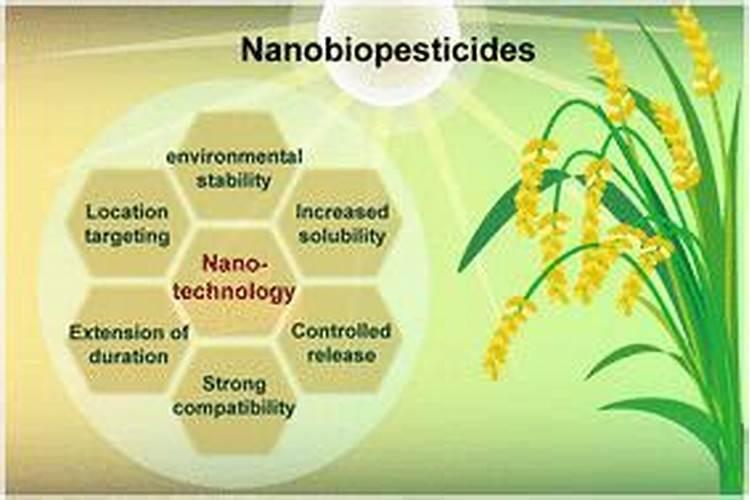 绿色守护：生物农药的探索与展望