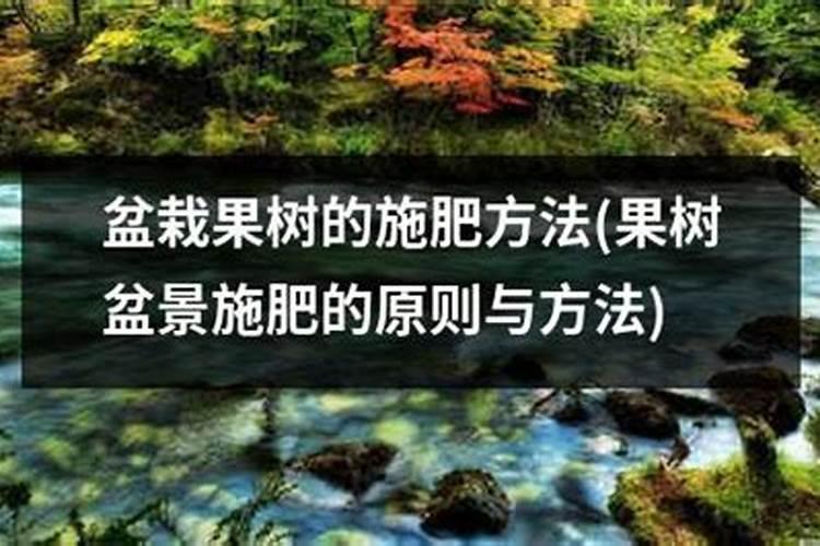 盆栽果树施肥的黄金法则：细节决定成败