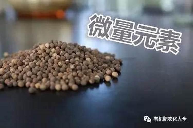 揭秘土壤中的微量宝藏：哪些是微量元素肥料？