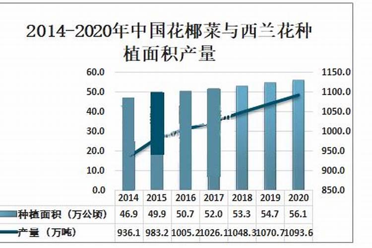 提升西兰花产量的策略：科学种植与技术创新