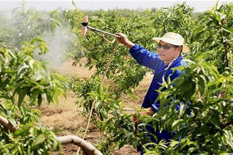 生物农药有哪些,生物农药的优缺点