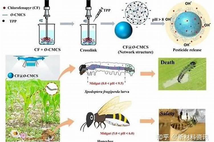 天气与生物制剂农药：四个关键因素的深度解析