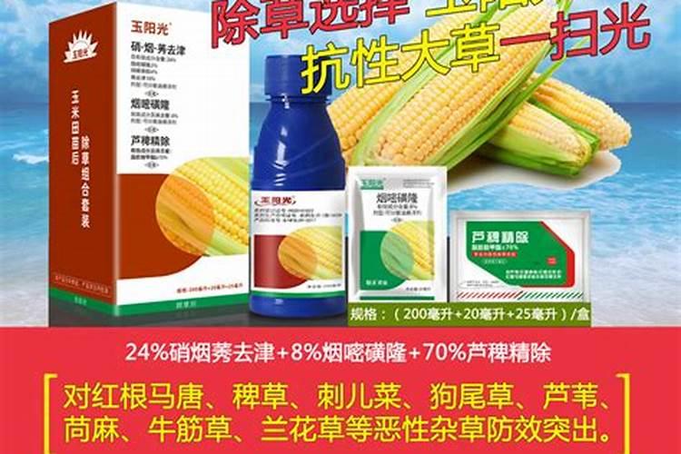 守护绿色希望：解决玉米苗后除草剂烟嘧碳隆药害的策略