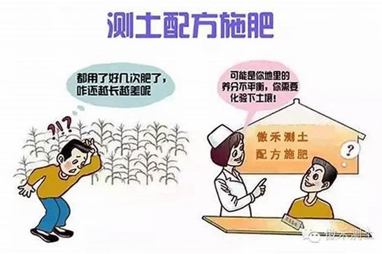 科学合理施肥的三项主要原则是什么？