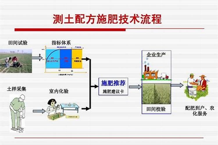 黏土的滋养之道：施肥的艺术与科学