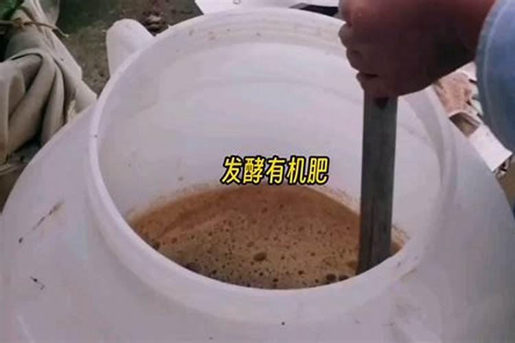 怎样发酵豆渣做水肥