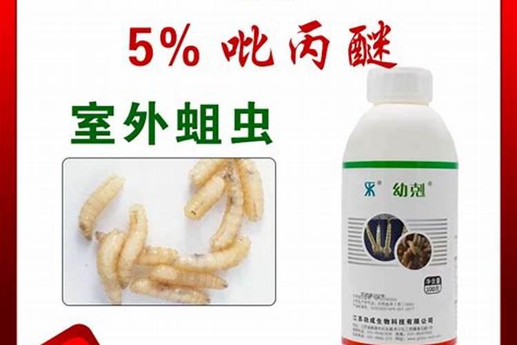 化粪池用什么药,灭蚊子？