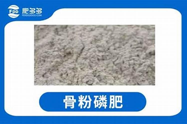 为什么骨粉是一种好磷肥？怎样使用效果好？