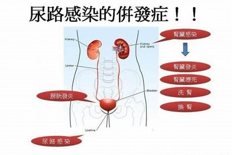 蓝莓具有预防泌尿道感染的功效吗？