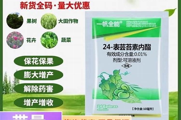 芸苔素用多了怎么办？好像坐不住果有办法吗