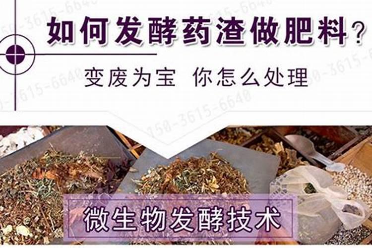 枯树叶怎样发酵成肥料？