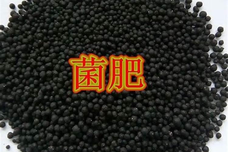 揭秘土壤的营养师：生物肥与菌肥的区别？