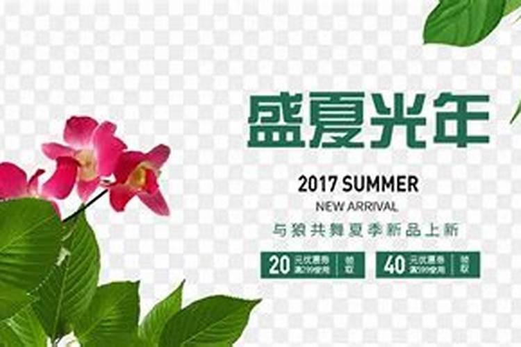 盛夏光年：夏季郁金香的呵护之道