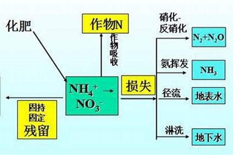 氮肥利用率低的原因