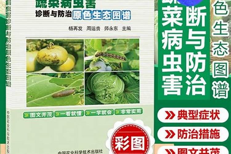 绿色守护：蔬菜常见虫害防治技术揭秘