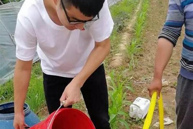 水溶肥施用不当引起减产？施用水溶肥的误区