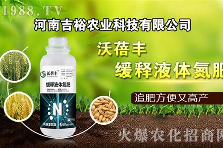 草莓能用液体氮肥吗为什么呢？