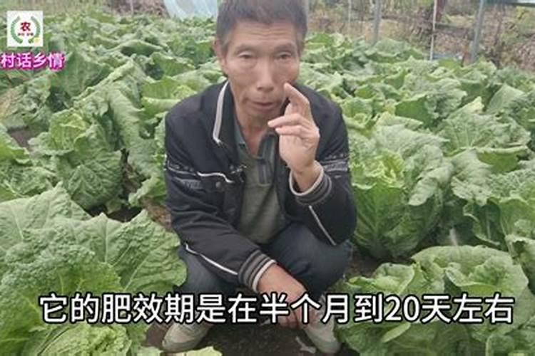 各种肥料施后几天？肥效期时间表？