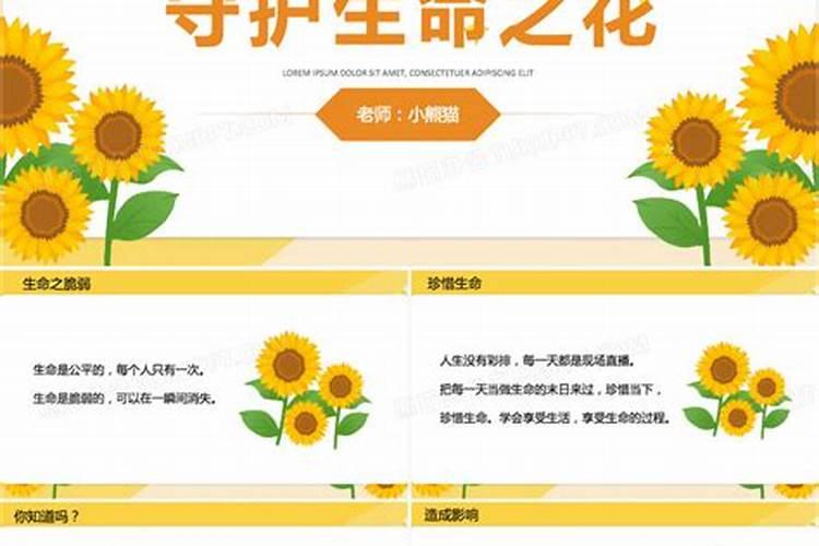 守护生命之花：避免药害发生的有效策略