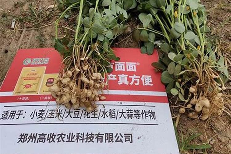 花生重茬有什么危害花生重茬的危害？