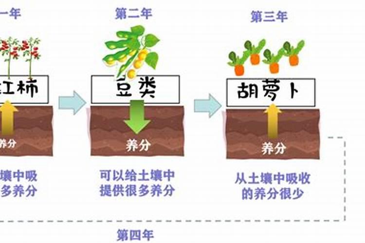 什么叫轮作施肥计划？轮作施肥计划怎么定制？