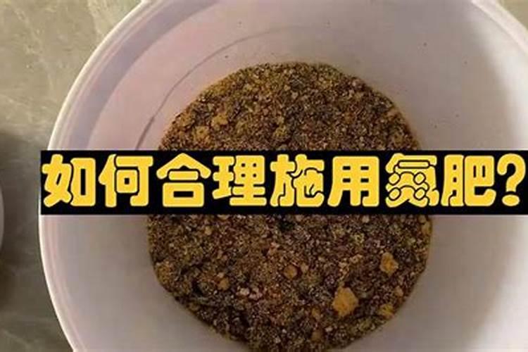 怎样合理施用氮肥？